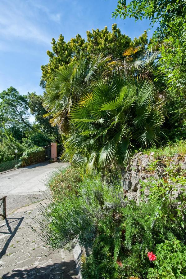 Villalbert Castel Gandolfo Eksteriør bilde